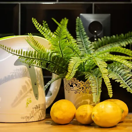 Apartmán Piekne Z Balkonem Dla 2 Osob W Warszawie By Renters