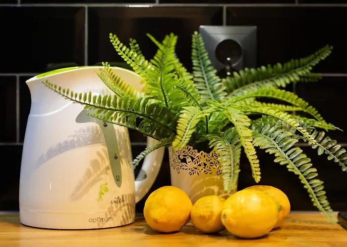 아파트 Piekne Z Balkonem Dla 2 Osob W Warszawie By Renters